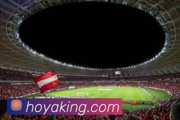 HOYA娱乐城官网品牌故事