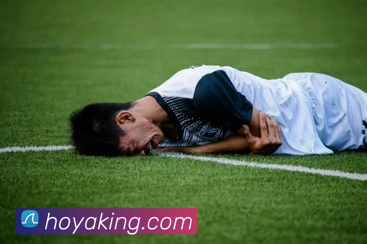 HOYA娱乐城官网服务体系